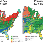 Climate Change Impact on Harvard Forest Ecosystem Changes