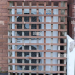 Trellis Air Cooling Technology Revolutionizes Energy Efficiency